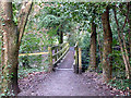 Footbridge over Afon Clarach