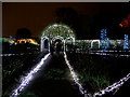 SJ7387 : Christmas at Dunham Massey - The Rose Garden by David Dixon