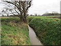 Bend in Howden Dike