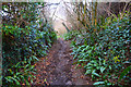 East Devon : Footpath