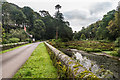 Pond Bridge and Lodge, Trelowarren