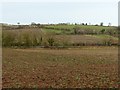 Landscape near Risley