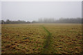 Path leading to Mill Race, Tetney