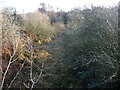 Barnsley Canal, south-east from the footbridge