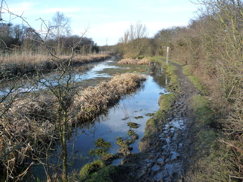 Winter mud on the Barnsley Canal towpath © Christine Johnstone ...