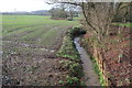 Country Brook Kilmington