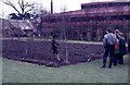 Temporary plant nursery, Garscube Estate