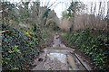 East Devon : Bovey Lane