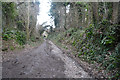 East Devon : Bovey Lane