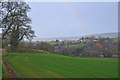 East Devon : Grassy Field