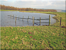 SK2368 : Pond on Calton Pastures by Trevor Rickard