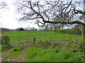 Field north of Ham Lane