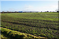 Field near Curborough Grange