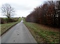 Minor  road  toward  Middleton-on-the-Wolds