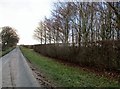SE9149 : Warter  Road  toward  Middleton  Grange  Farm by Martin Dawes