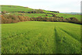 Countryside east of Chilcombe