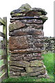SD9487 : Benchmark on wall pier at footpath gateway by Roger Templeman