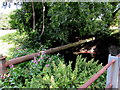 Pipe over the River Frome, Stanley Downton, Gloucestershire