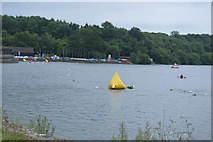TQ3328 : Openwater swimmers, Ardingly Reservoir by N Chadwick