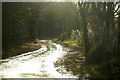 Track in Horton Country Park