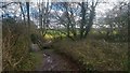 TQ1863 : Small bridge over a stream, Chessington by Mike Pennington