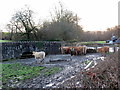 Da yng nghornel cae / Cattle at corner of field