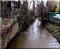 Upstream along the Gavenny River, Abergavenny