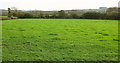 Grass field near Four Meads Farm