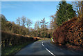 The Exe Valley road, heading north near Enterwell Cottage