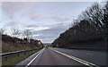 On the A391, approaching the junction with the A399, heading east