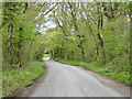 Lane towards Fifehead St Quintin