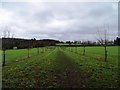 Path through a Field