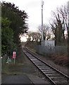 Railway south from Saundersfoot station