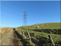 SS9985 : Track on Mynydd Portref by Gareth James