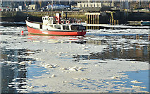 J3474 : Foam, River Lagan, Belfast (January 2018) by Albert Bridge