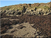 SH3370 : Seaweed accumulation by Jonathan Wilkins