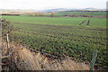 Field near Fountain Head