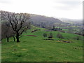 Llwybr Y Grug / Y Grug Path