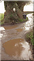 Puddles at Shaptor Cross