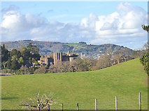 SS9943 : Dunster Castle with Minehead North Hill by Martin Southwood