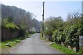 Road into Holford Combe