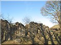 Bron-y-nant ruin