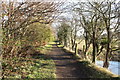 River Ayr Walk