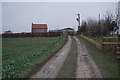 Nut Tree Farm near Fotherby