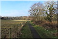 River Ayr Walk