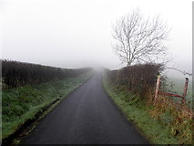 H4970 : Leap Lane, Edenderry by Kenneth  Allen