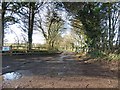 Track to Barrow Hills Farm