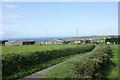 Driveway to Llanungar Fach farm