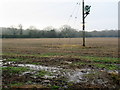 Wet Bare Field off Wassell Grove Lane Hagley