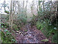 Llwybr ger Crwbin / Path near Crwbin